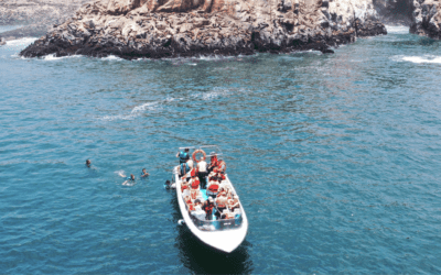 Islas Cavinzas e Islotes Palomino – Peru